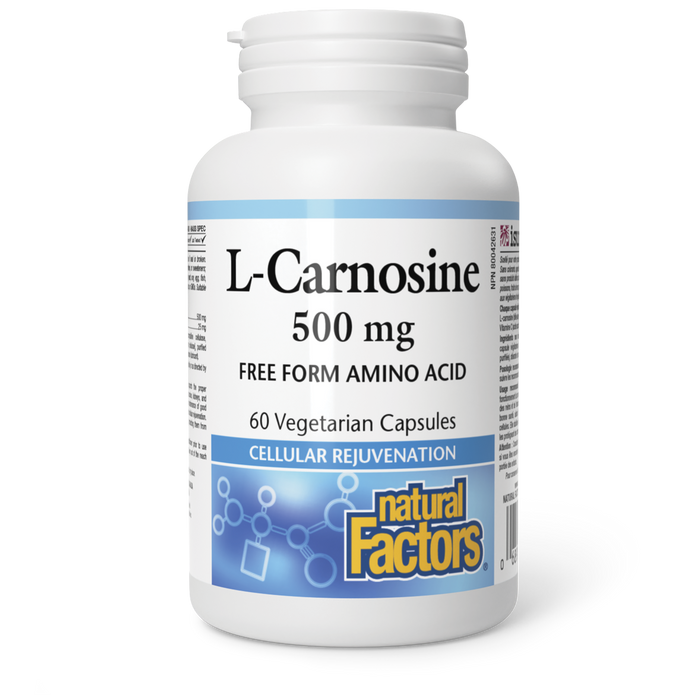 Natural Factors L-Carnosine  500 mg 60 Vegetarian Capsules