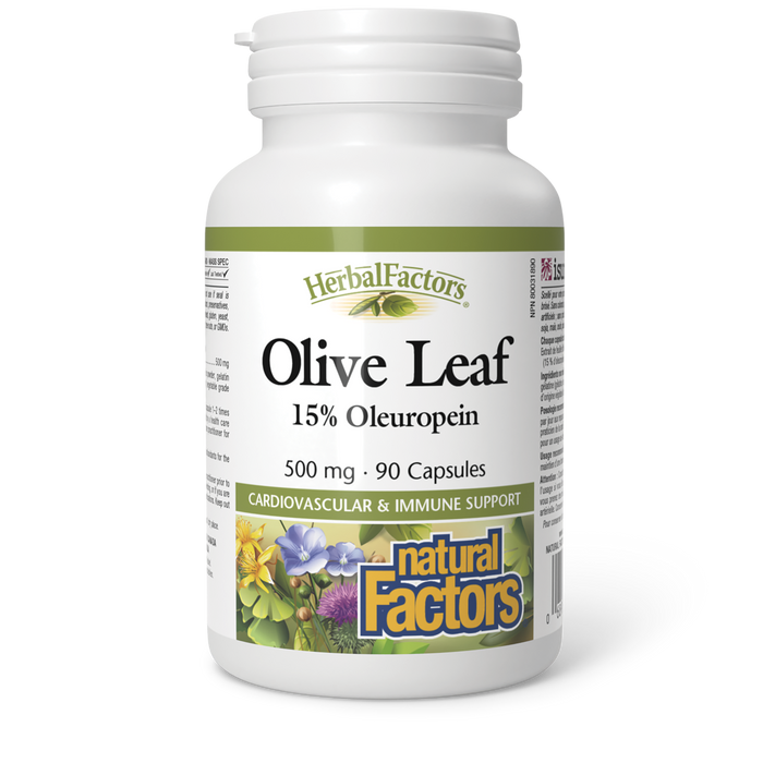 Natural Factors Olive Leaf 500 mg 90 Capsules