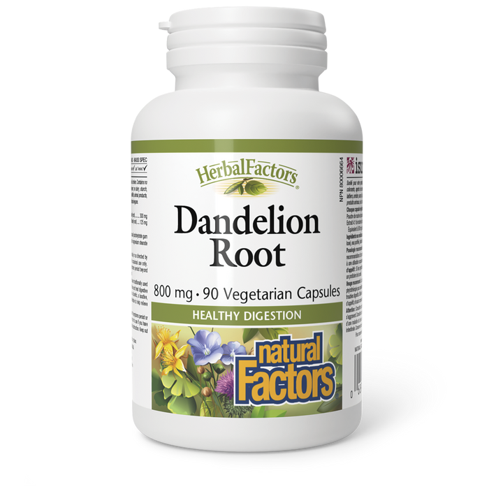 Natural Factors Dandelion Root  800 mg  90 Vegetarian Capsules